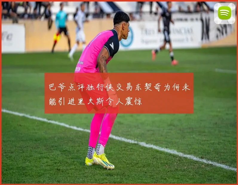 巴爷点评独行侠交易东契奇为何未能引进里夫斯令人震惊